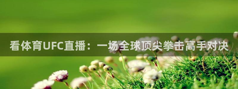 看体育UFC直播：一场全球顶尖拳击高手对决