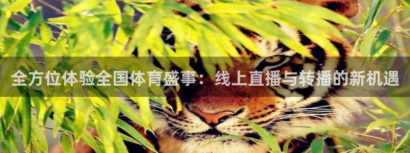 全方位体验全国体育盛事：线上直播与转播的新机遇