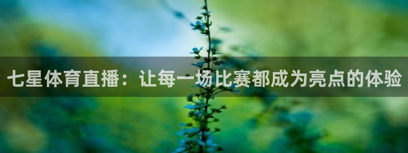 七星体育直播：让每一场比赛都成为亮点的体验