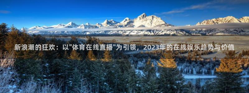新浪潮的狂欢：以\