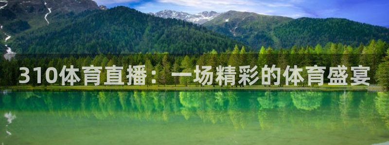 310体育直播：一场精彩的体育盛宴