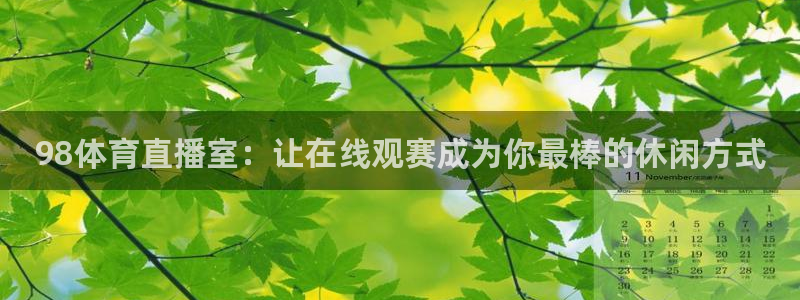 98体育直播室：让在线观赛成为你最棒的休闲方式