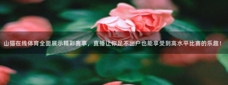 山猫在线体育全面展示精彩赛事，直播让你足不出户也能享受到高水平比赛的乐趣！