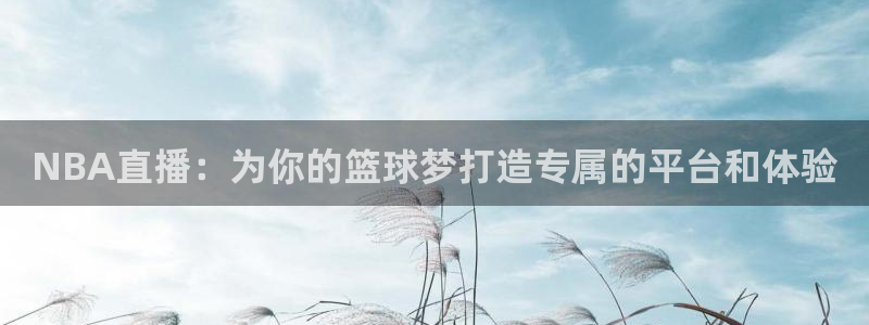 NBA直播：为你的篮球梦打造专属的平台和体验