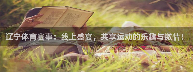 辽宁体育赛事：线上盛宴，共享运动的乐趣与激情！