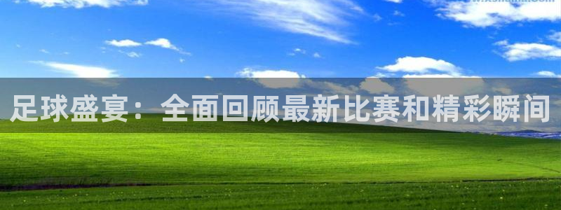 足球盛宴：全面回顾最新比赛和精彩瞬间