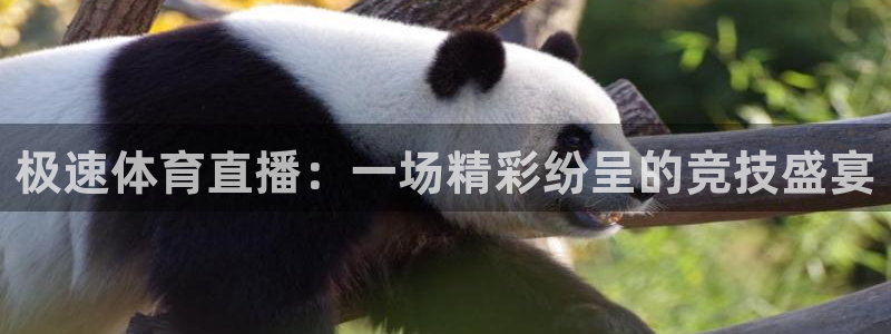 极速体育直播：一场精彩纷呈的竞技盛宴