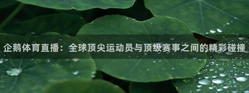 企鹅体育直播：全球顶尖运动员与顶级赛事之间的精彩碰撞