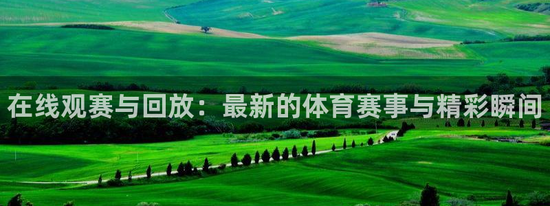 在线观赛与回放：最新的体育赛事与精彩瞬间