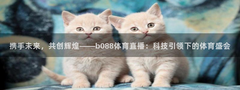 携手未来，共创辉煌——b088体育直播：科技引领下的体育盛会