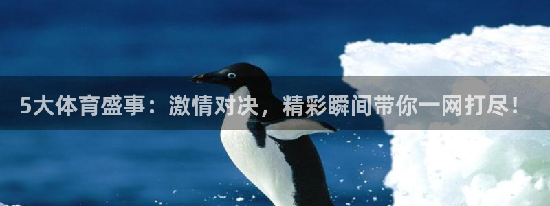 5大体育盛事：激情对决，精彩瞬间带你一网打尽！