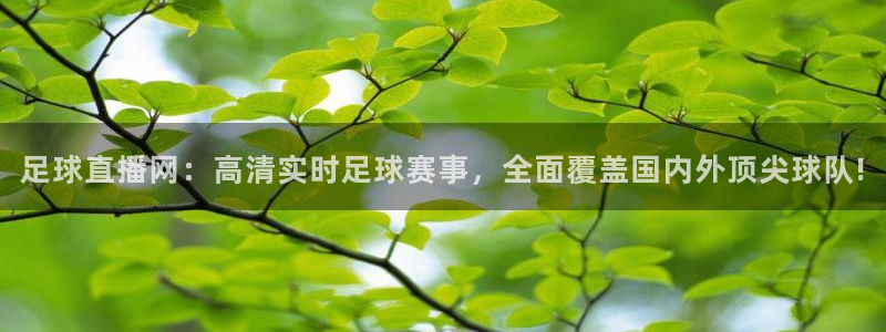 足球直播网：高清实时足球赛事，全面覆盖国内外顶尖球队!