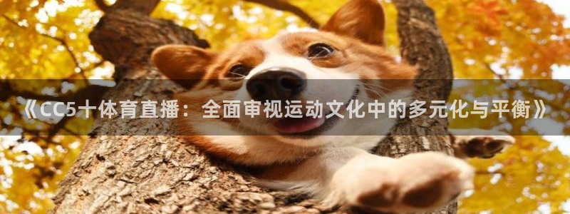 《CC5十体育直播：全面审视运动文化中的多元化与平衡》