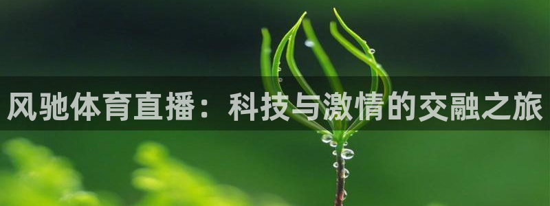 风驰体育直播：科技与激情的交融之旅