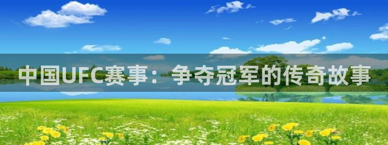 中国UFC赛事：争夺冠军的传奇故事