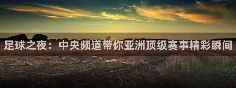 足球之夜：中央频道带你亚洲顶级赛事精彩瞬间