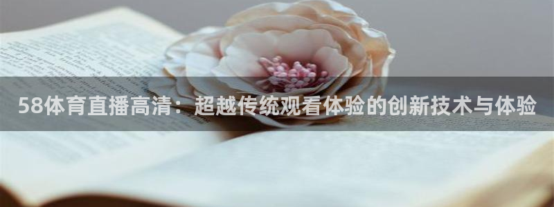 58体育直播高清：超越传统观看体验的创新技术与体验