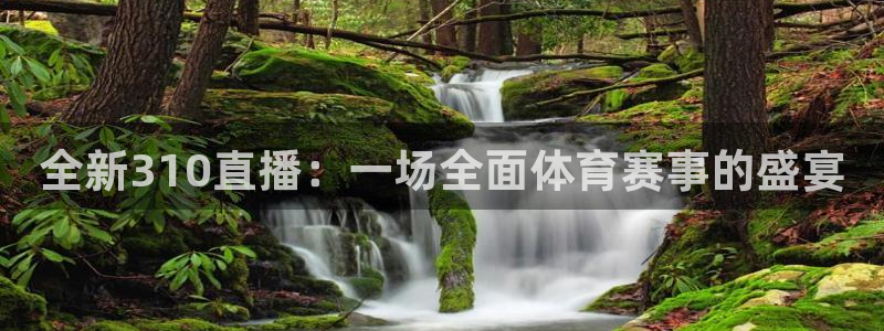 全新310直播：一场全面体育赛事的盛宴
