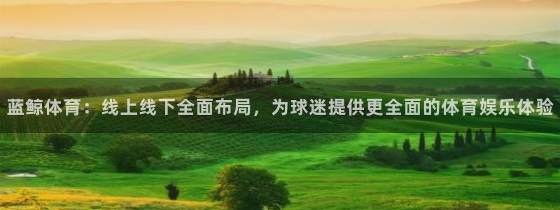 蓝鲸体育：线上线下全面布局，为球迷提供更全面的体育娱乐体验