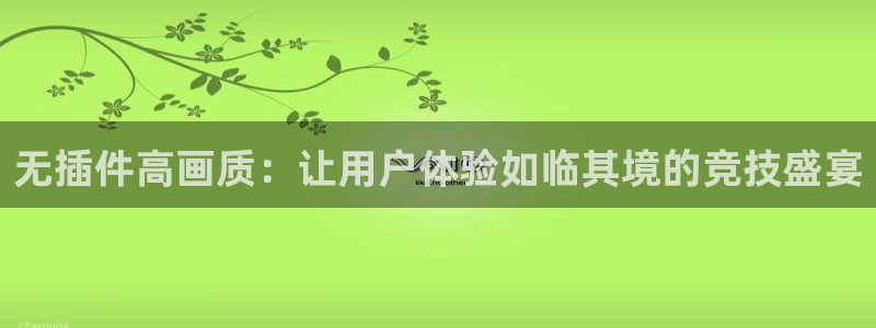无插件高画质：让用户体验如临其境的竞技盛宴