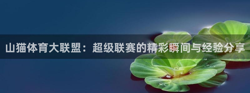 山猫体育大联盟：超级联赛的精彩瞬间与经验分享