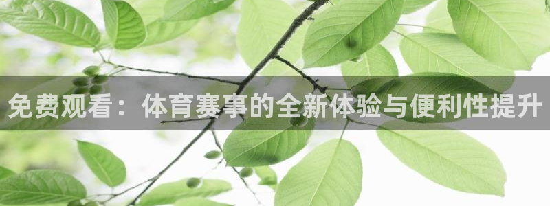 免费观看：体育赛事的全新体验与便利性提升