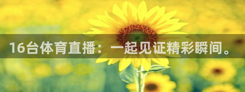 16台体育直播：一起见证精彩瞬间。