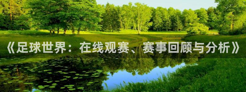 《足球世界：在线观赛、赛事回顾与分析》