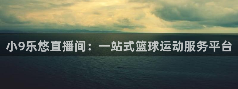 小9乐悠直播间：一站式篮球运动服务平台