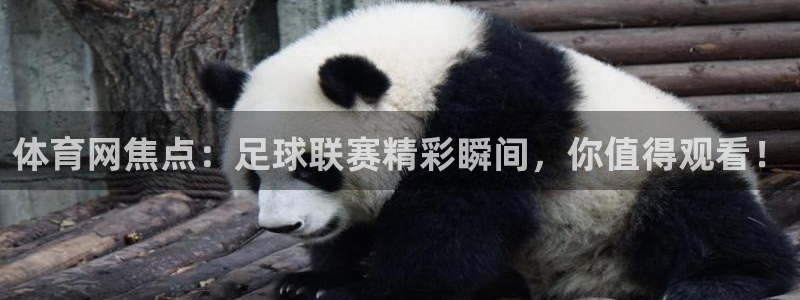 体育网焦点：足球联赛精彩瞬间，你值得观看！
