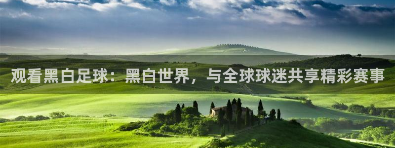 观看黑白足球：黑白世界，与全球球迷共享精彩赛事
