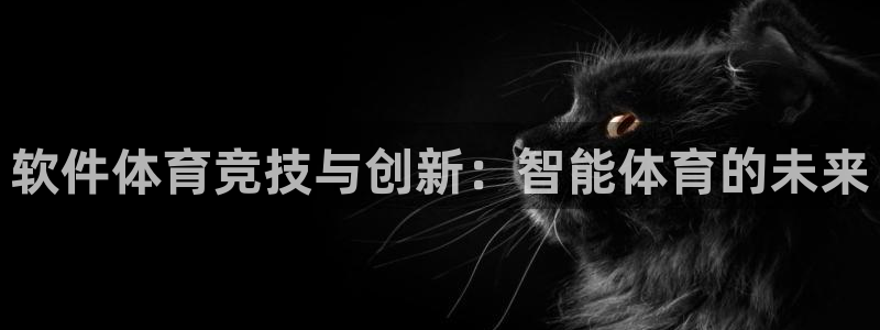 软件体育竞技与创新：智能体育的未来