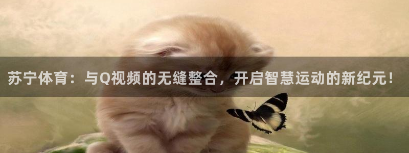 苏宁体育：与Q视频的无缝整合，开启智慧运动的新纪元！