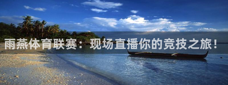 雨燕体育联赛：现场直播你的竞技之旅！