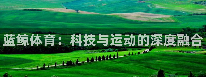 蓝鲸体育：科技与运动的深度融合