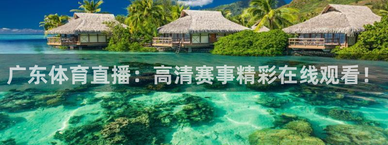广东体育直播：高清赛事精彩在线观看！