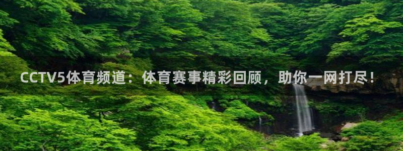 CCTV5体育频道：体育赛事精彩回顾，助你一网打尽！