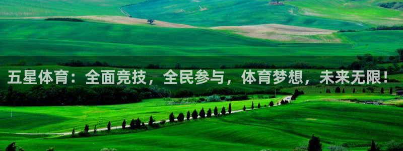 五星体育：全面竞技，全民参与，体育梦想，未来无限！