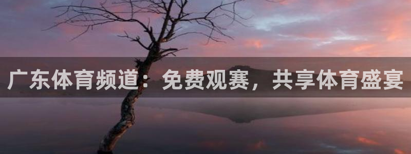 广东体育频道：免费观赛，共享体育盛宴