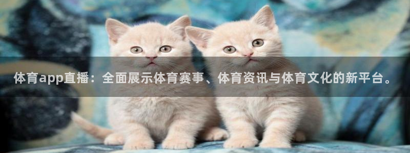 体育app直播：全面展示体育赛事、体育资讯与体育文化的新平台。