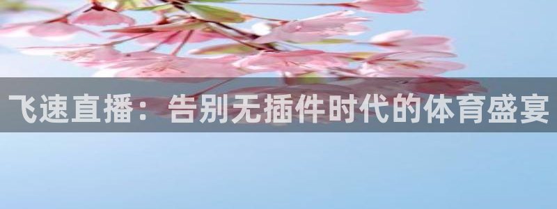 飞速直播：告别无插件时代的体育盛宴