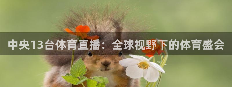 中央13台体育直播：全球视野下的体育盛会