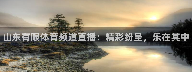 山东有限体育频道直播：精彩纷呈，乐在其中