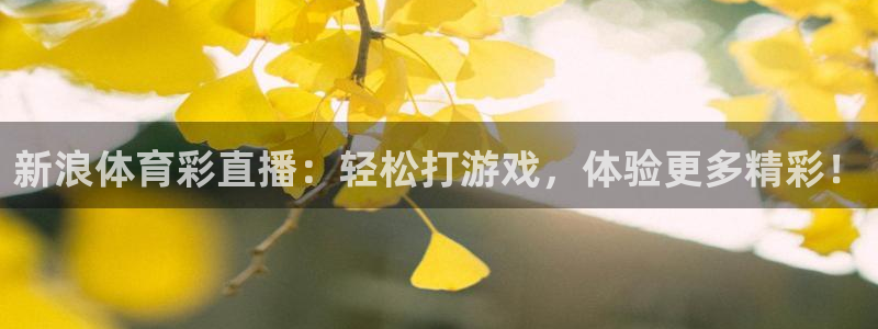 新浪体育彩直播：轻松打游戏，体验更多精彩！