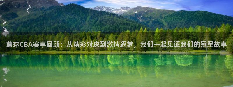 蓝球CBA赛事回顾：从精彩对决到激情逐梦，我们一起见证我们的冠军故事