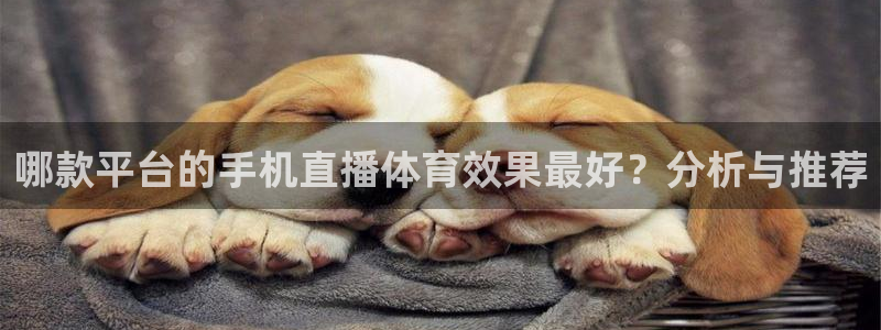 哪款平台的手机直播体育效果最好？分析与推荐