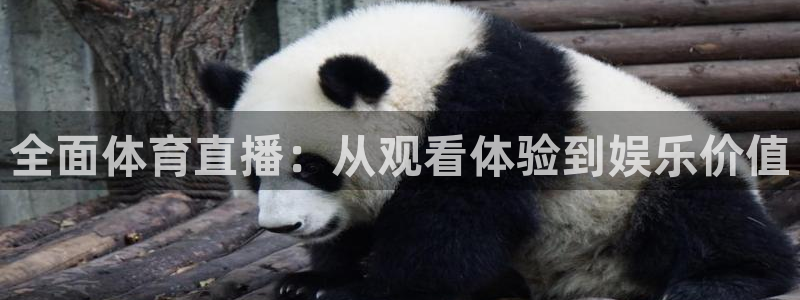 全面体育直播：从观看体验到娱乐价值