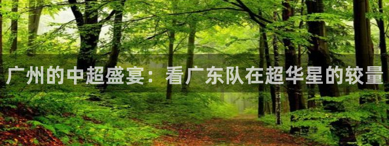 广州的中超盛宴：看广东队在超华星的较量