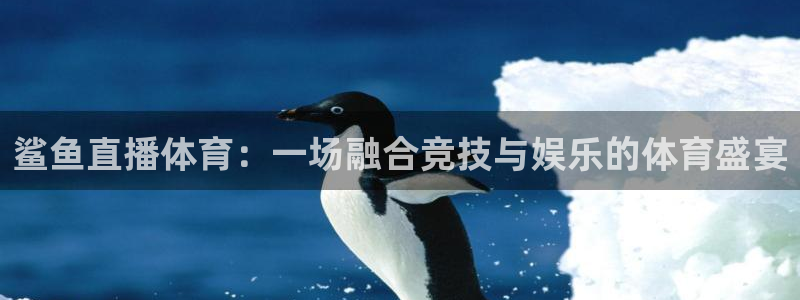 鲨鱼直播体育：一场融合竞技与娱乐的体育盛宴