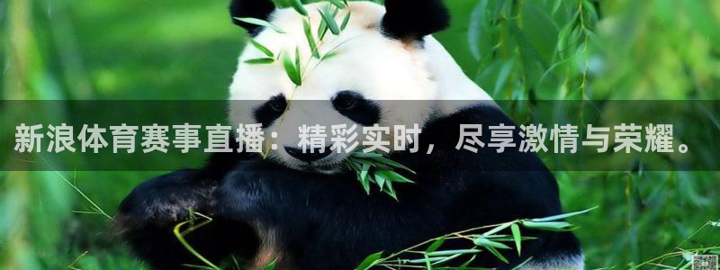 新浪体育赛事直播：精彩实时，尽享激情与荣耀。